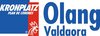 Logo Olang Kronplatz - Valdaora